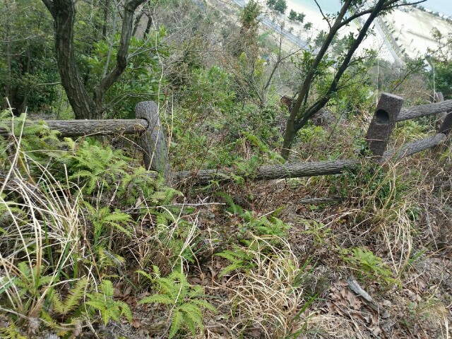 f:id:syunpalau:20160403171009j:image f:id:syunpalau:20160403171009j:image