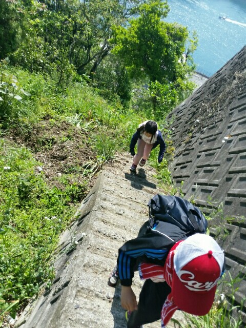 f:id:syunpalau:20160501154854j:image f:id:syunpalau:20160501154854j:image