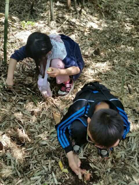 f:id:syunpalau:20160501155155j:image f:id:syunpalau:20160501155155j:image