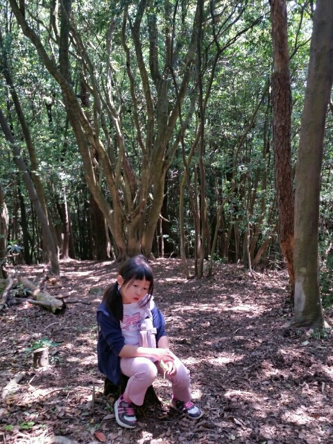 f:id:syunpalau:20160501202036j:image f:id:syunpalau:20160501202036j:image