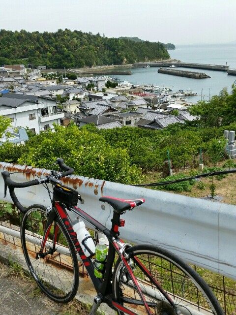 f:id:syunpalau:20160508165311j:image f:id:syunpalau:20160508165311j:image