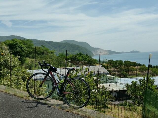 f:id:syunpalau:20160508172242j:image f:id:syunpalau:20160508172242j:image