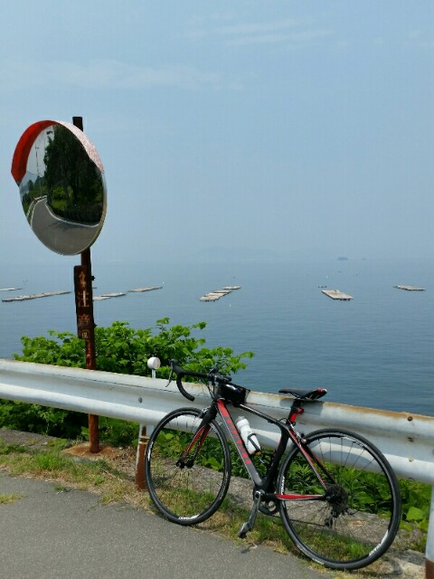 f:id:syunpalau:20160529171217j:image f:id:syunpalau:20160529171217j:image