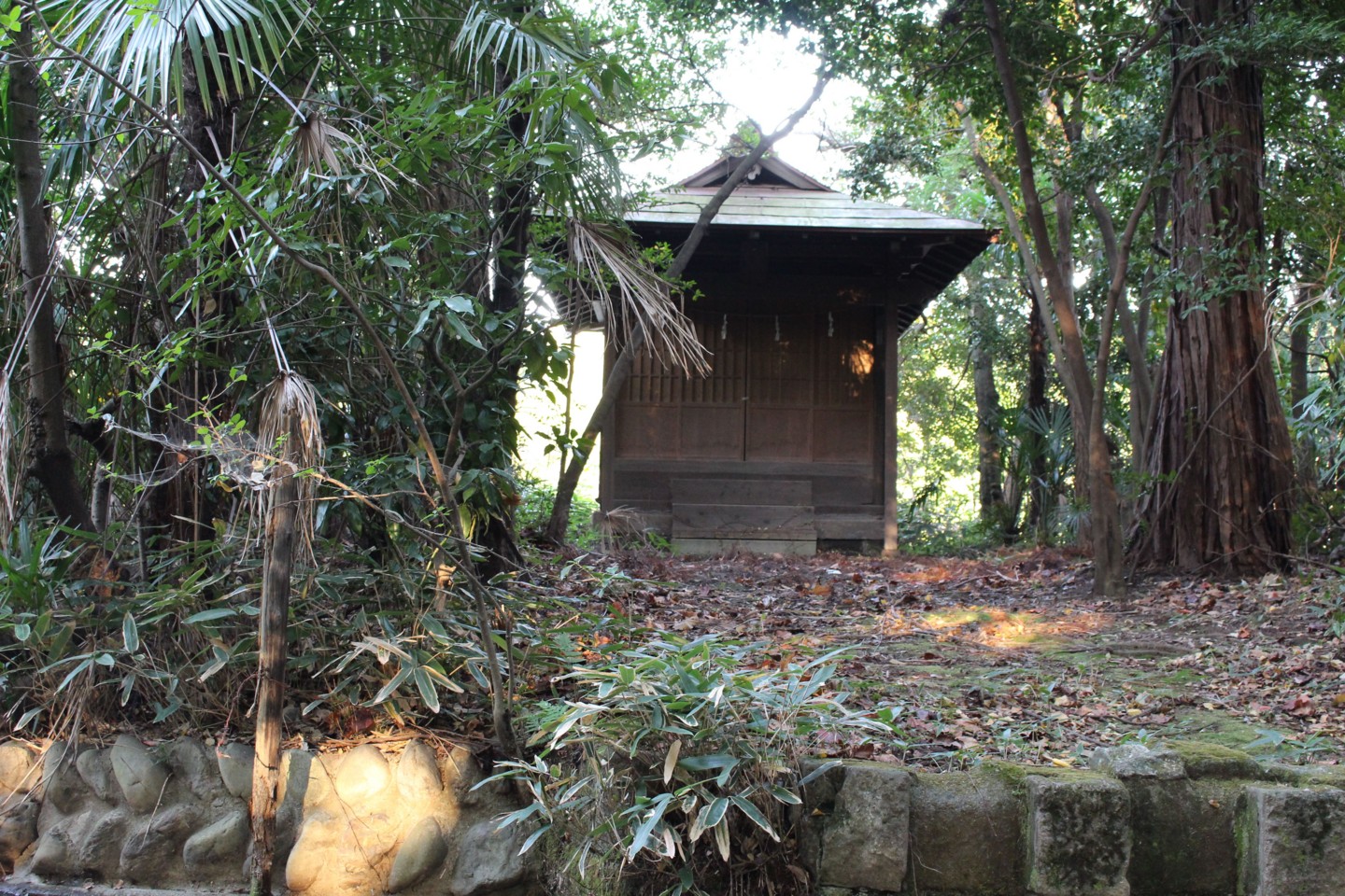 杉並区善福寺  市杵嶋神社の写真2