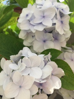 f:id:t-maiko0110:20150628171651j:image f:id:t-maiko0110:20150628171651j:image
