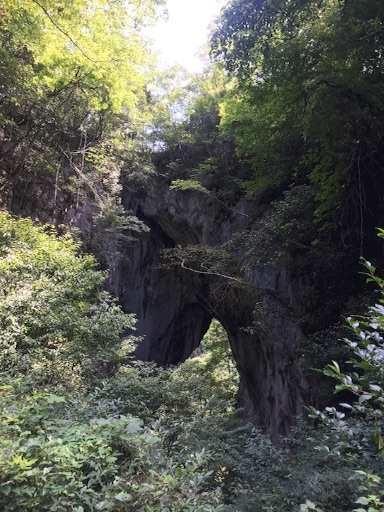 f:id:t-maiko0110:20150818231914j:image f:id:t-maiko0110:20150818231914j:image
