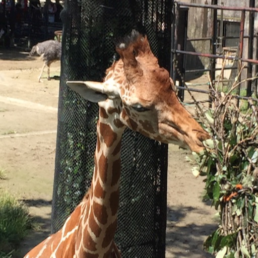 f:id:t-maiko0110:20150916225228j:image f:id:t-maiko0110:20150916225228j:image