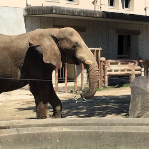 f:id:t-maiko0110:20150916225317j:image f:id:t-maiko0110:20150916225317j:image