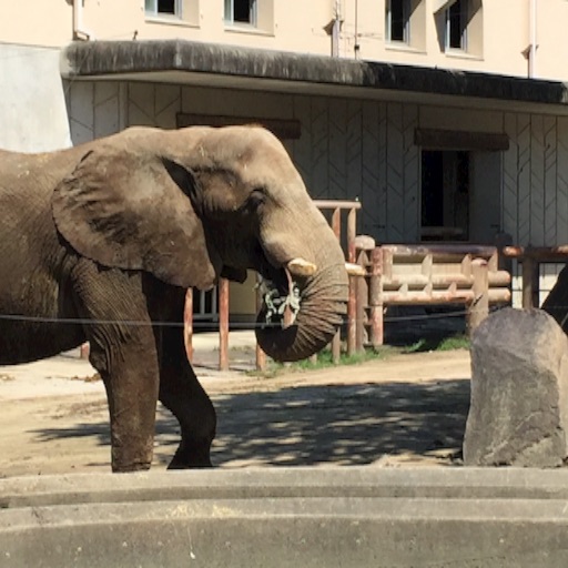 f:id:t-maiko0110:20150916225331j:image f:id:t-maiko0110:20150916225331j:image