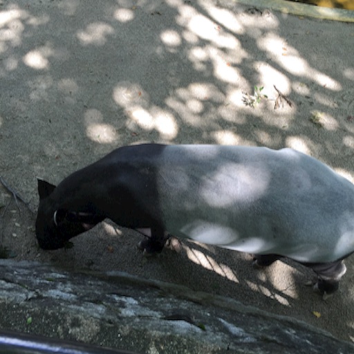 f:id:t-maiko0110:20150916225510j:image f:id:t-maiko0110:20150916225510j:image