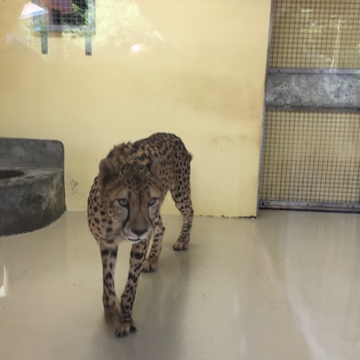 f:id:t-maiko0110:20150916225526j:image f:id:t-maiko0110:20150916225526j:image