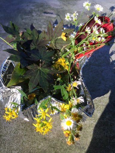 f:id:t-maiko0110:20151004211228j:image f:id:t-maiko0110:20151004211228j:image
