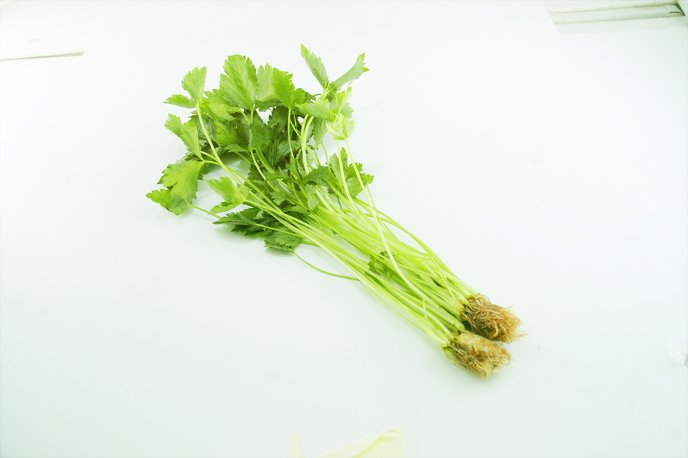 f:id:t-namikata:20160130131804j:plain f:id:t-namikata:20160130131804j:plain