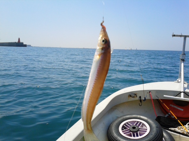 f:id:t1000zawa:20140502105829j:plain