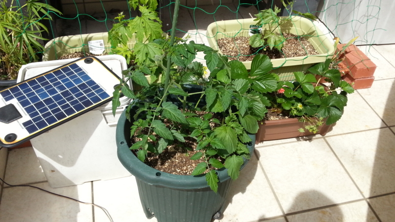 f:id:t1000zawa:20140518135237j:plain