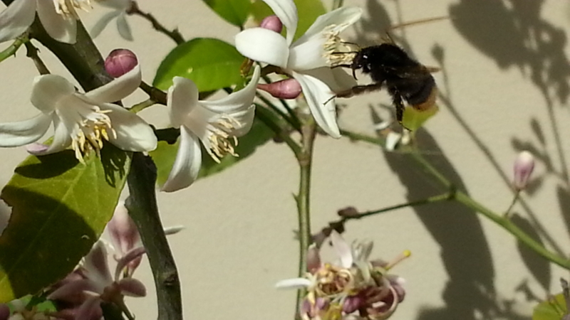 f:id:t1000zawa:20140518135447j:plain