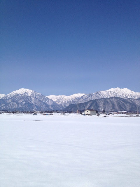 f:id:t_hasegawa-from-Azumino:20150323094303j:plain f:id:t_hasegawa-from-Azumino:20150323094303j:plain