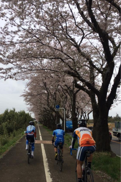 f:id:t_hasegawa-from-Azumino:20150404143824j:plain f:id:t_hasegawa-from-Azumino:20150404143824j:plain
