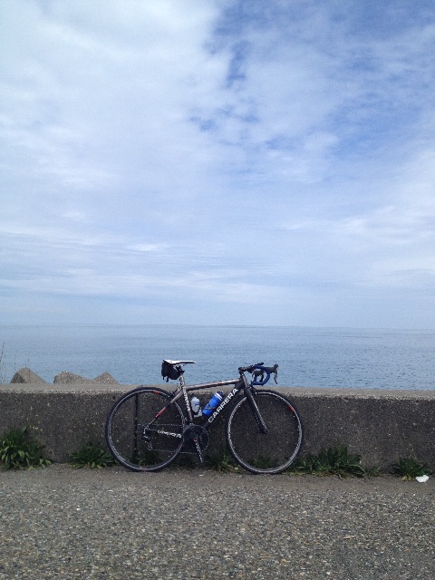 f:id:t_hasegawa-from-Azumino:20150507080409j:image f:id:t_hasegawa-from-Azumino:20150507080409j:image