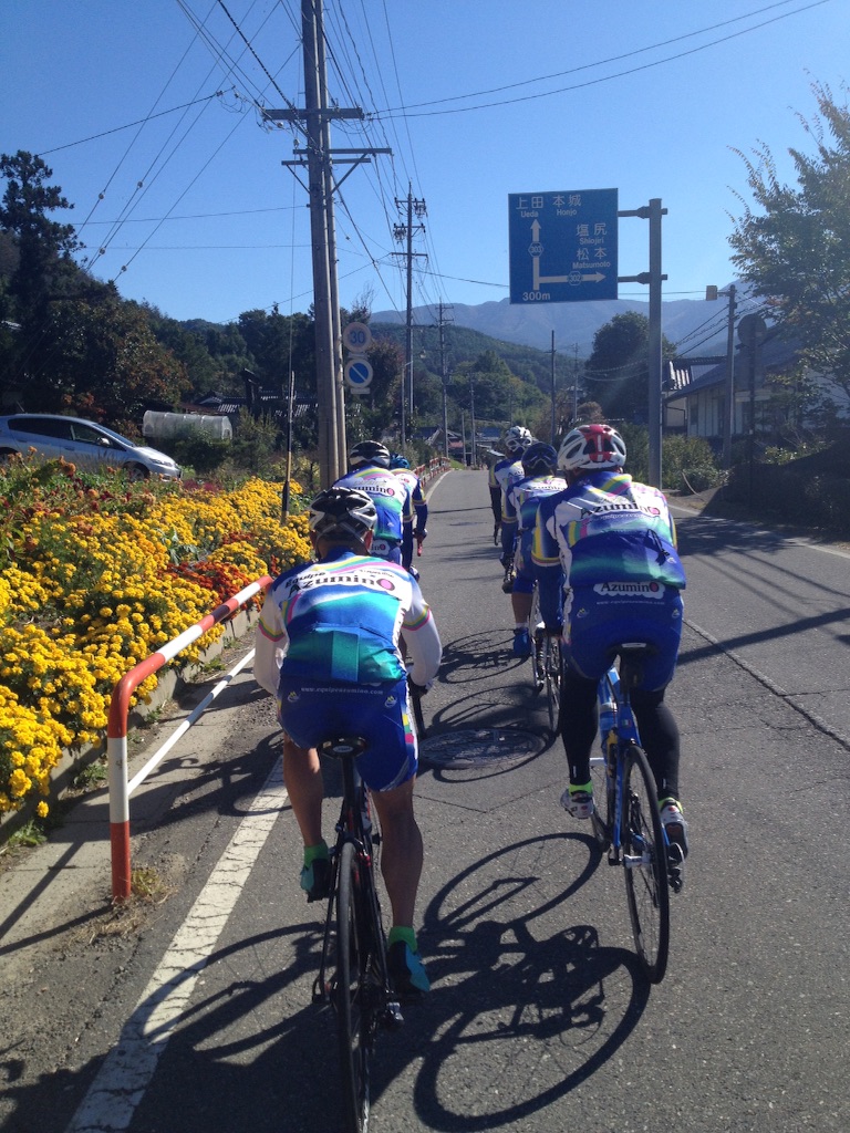 f:id:t_hasegawa-from-Azumino:20151016071407j:image f:id:t_hasegawa-from-Azumino:20151016071407j:image