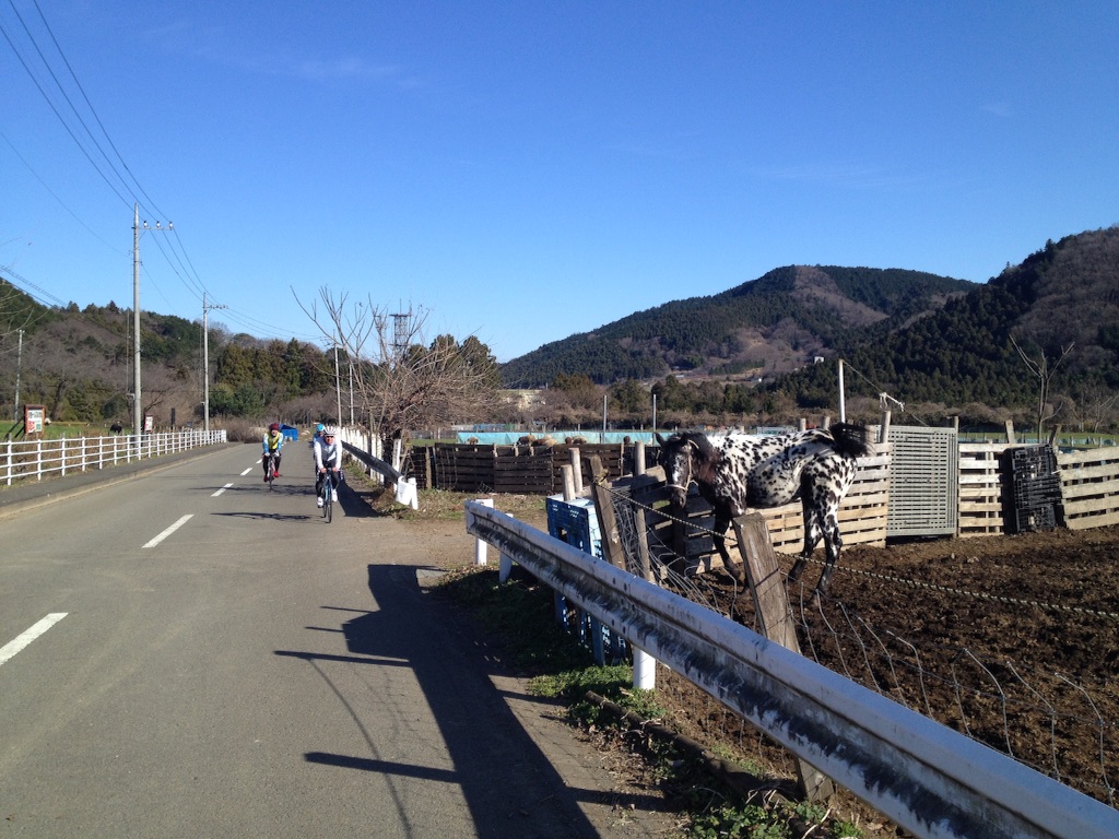 f:id:t_hasegawa-from-Azumino:20151230214539j:image f:id:t_hasegawa-from-Azumino:20151230214539j:image