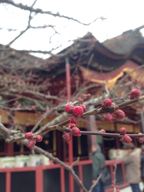 f:id:t_inc1222:20150220200935j:plain f:id:t_inc1222:20150220200935j:plain