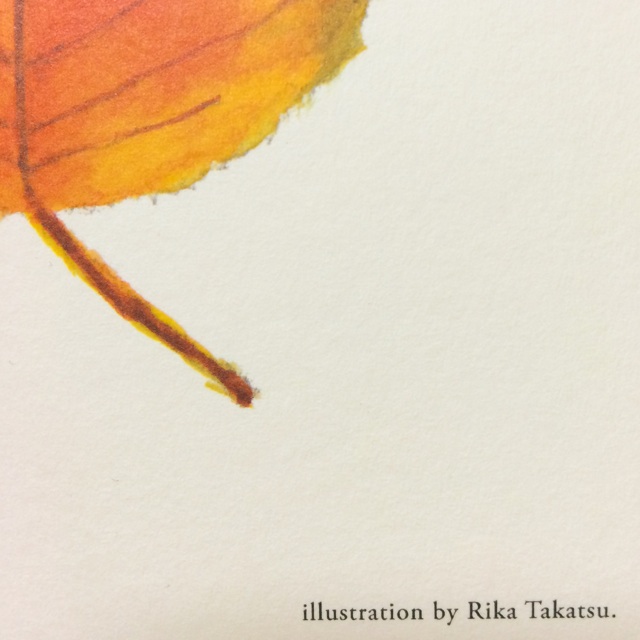 f:id:t_rika:20141229215518j:plain f:id:t_rika:20141229215518j:plain
