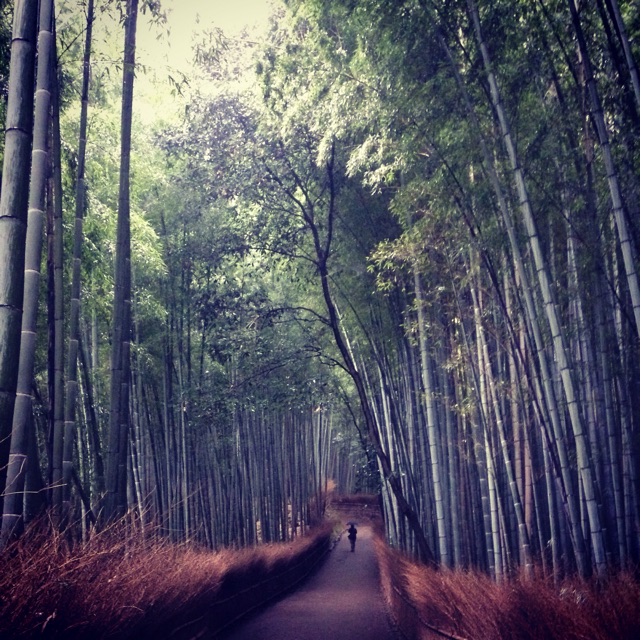f:id:t_toshiyuki19:20141020231231j:plain f:id:t_toshiyuki19:20141020231231j:plain