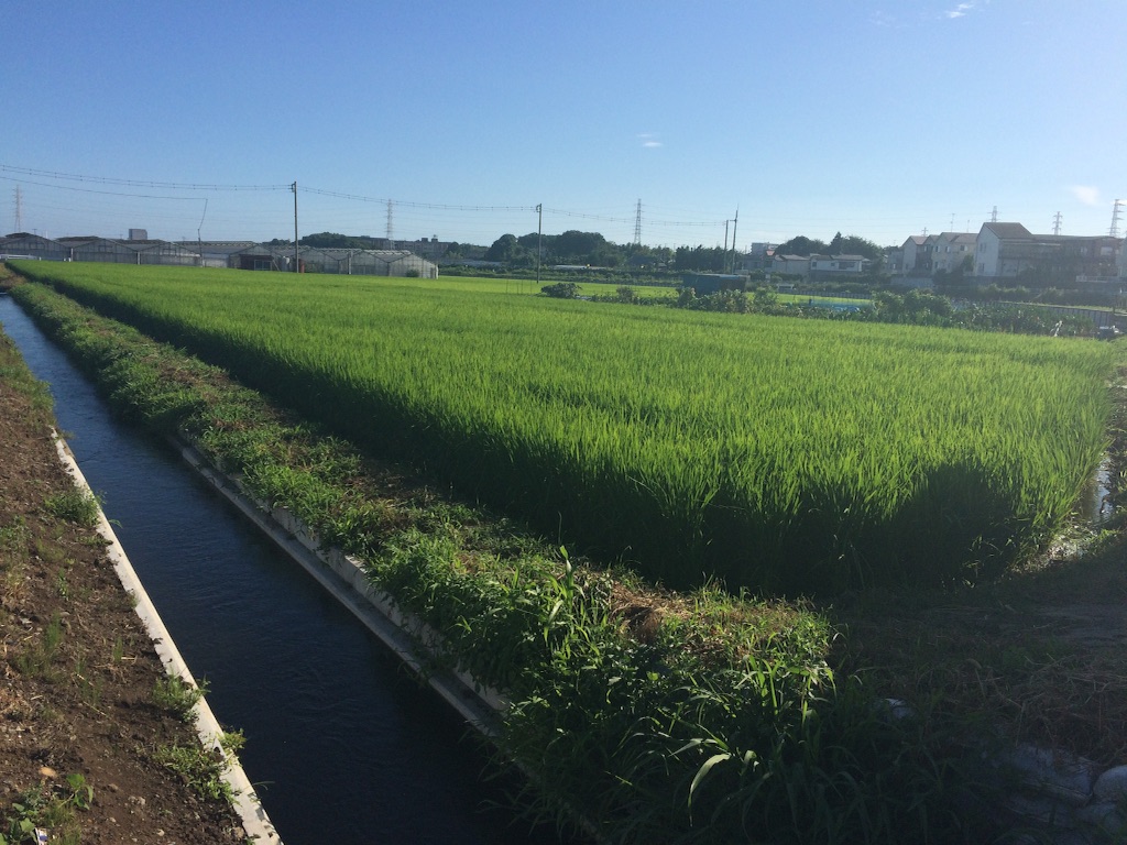 f:id:taaaakuuuut0122:20150806195518j:image f:id:taaaakuuuut0122:20150806195518j:image