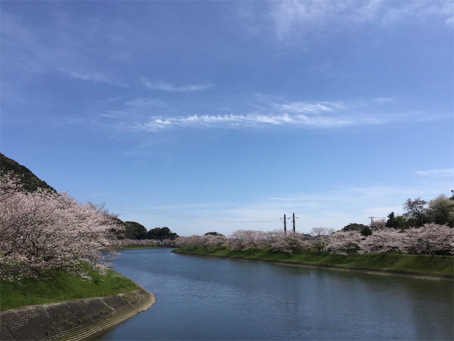 f:id:tabby2016:20160406200128j:image f:id:tabby2016:20160406200128j:image