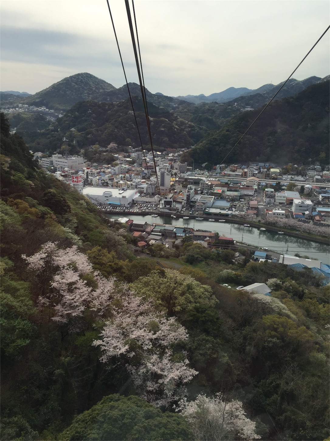 f:id:tabby2016:20160406200837j:image f:id:tabby2016:20160406200837j:image