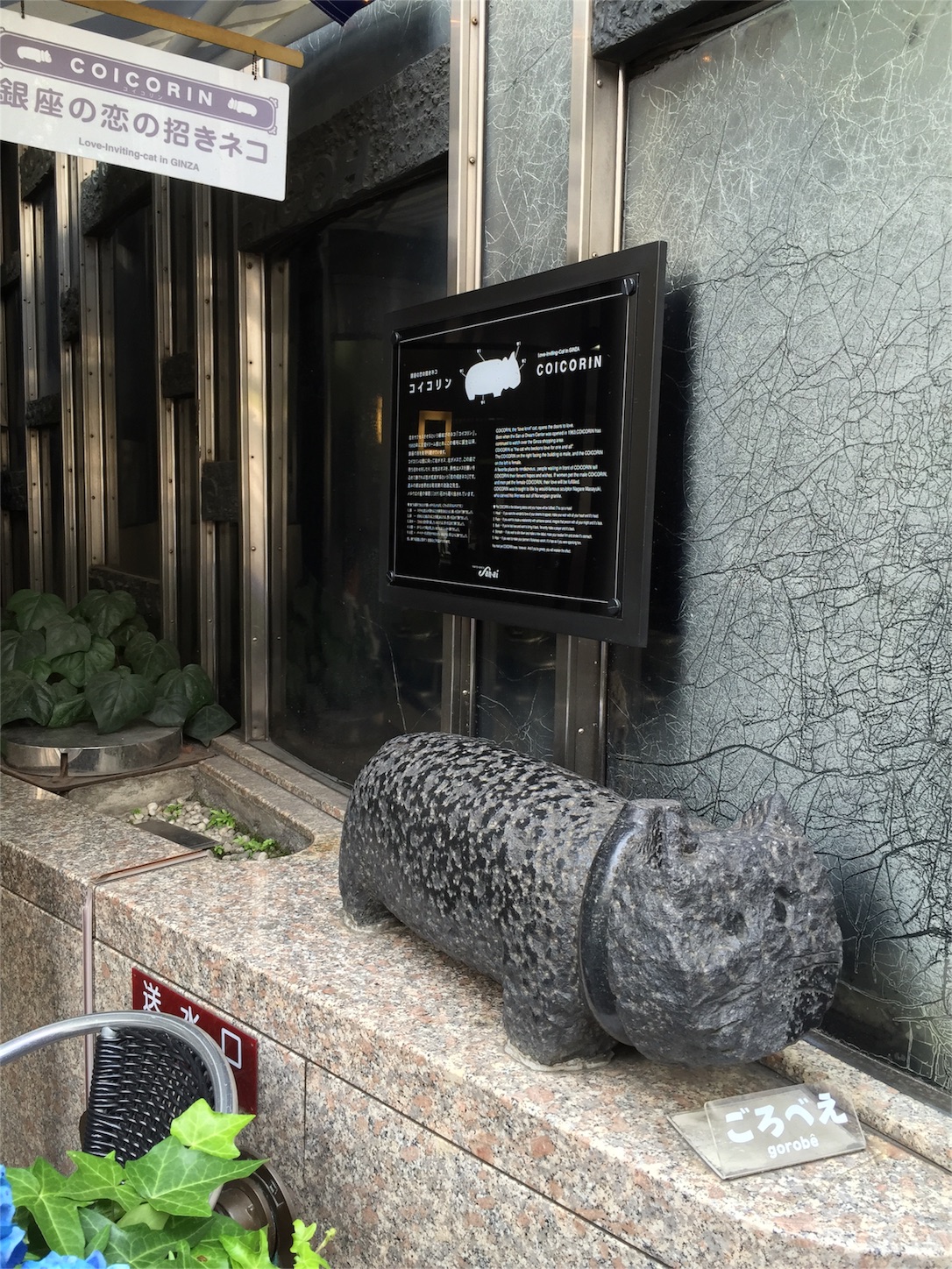 f:id:tabby2016:20160601200509j:image f:id:tabby2016:20160601200509j:image