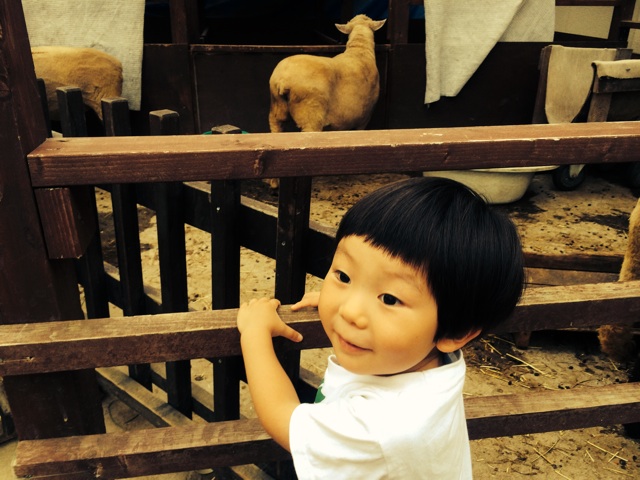 f:id:tabia:20140710213917j:plain f:id:tabia:20140710213917j:plain