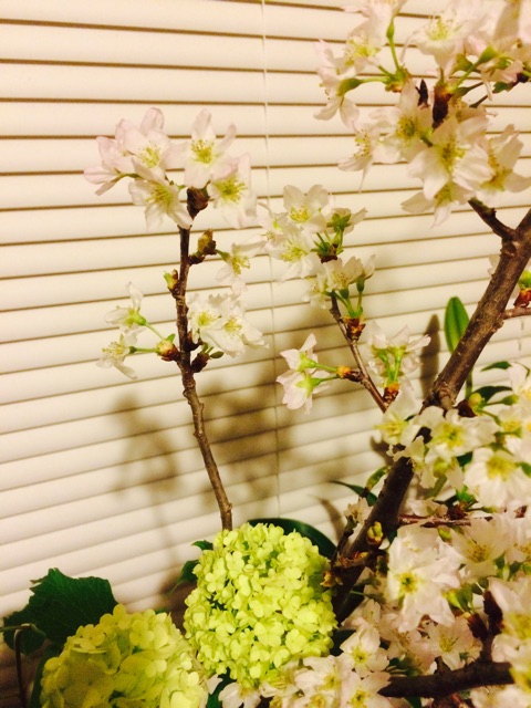 f:id:tabia:20150318181614j:plain f:id:tabia:20150318181614j:plain