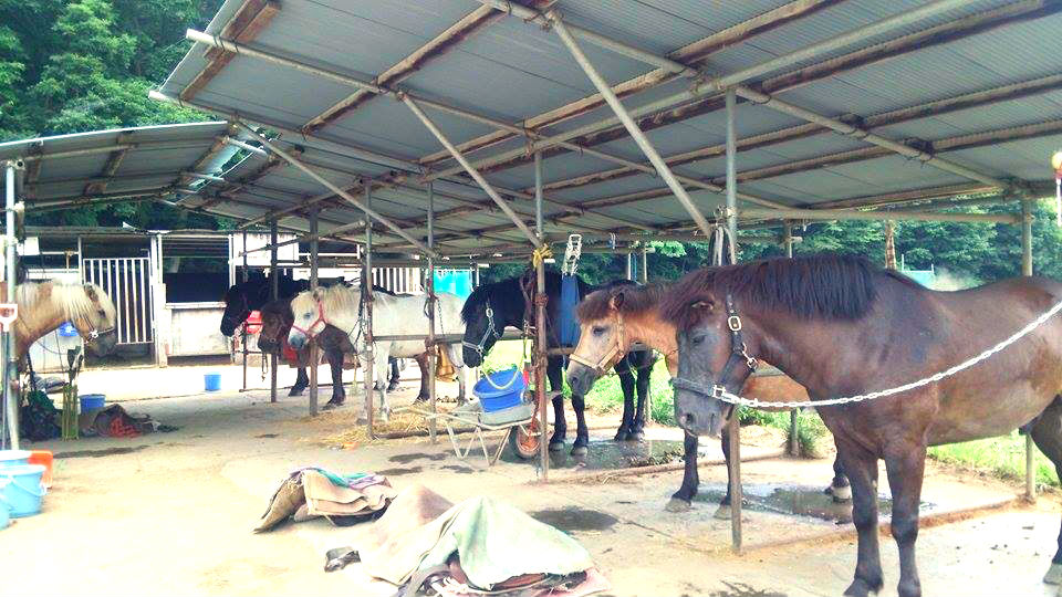 f:id:tabinideru0:20150909232702j:plain f:id:tabinideru0:20150909232702j:plain