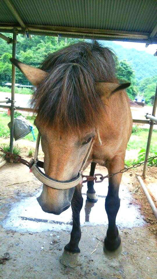 f:id:tabinideru0:20150909233815j:plain f:id:tabinideru0:20150909233815j:plain
