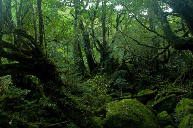 f:id:tabishizen:20150228040708j:plain f:id:tabishizen:20150228040708j:plain