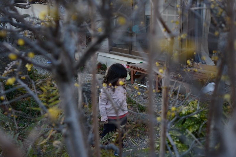 f:id:tachibanachihiro:20140124164959j:plain f:id:tachibanachihiro:20140124164959j:plain