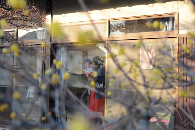 f:id:tachibanachihiro:20140124165056j:plain f:id:tachibanachihiro:20140124165056j:plain