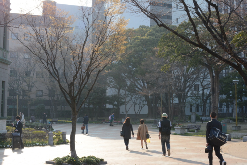 f:id:tachibanachihiro:20140323162700j:plain f:id:tachibanachihiro:20140323162700j:plain
