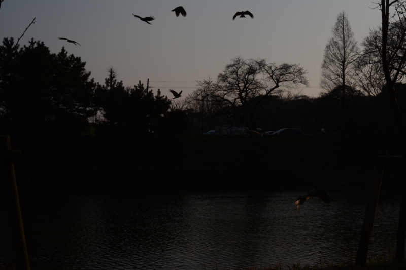 f:id:tachibanachihiro:20140323173255j:plain f:id:tachibanachihiro:20140323173255j:plain