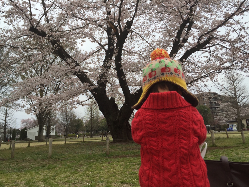 f:id:tadaima_miki:20160402223632j:plain