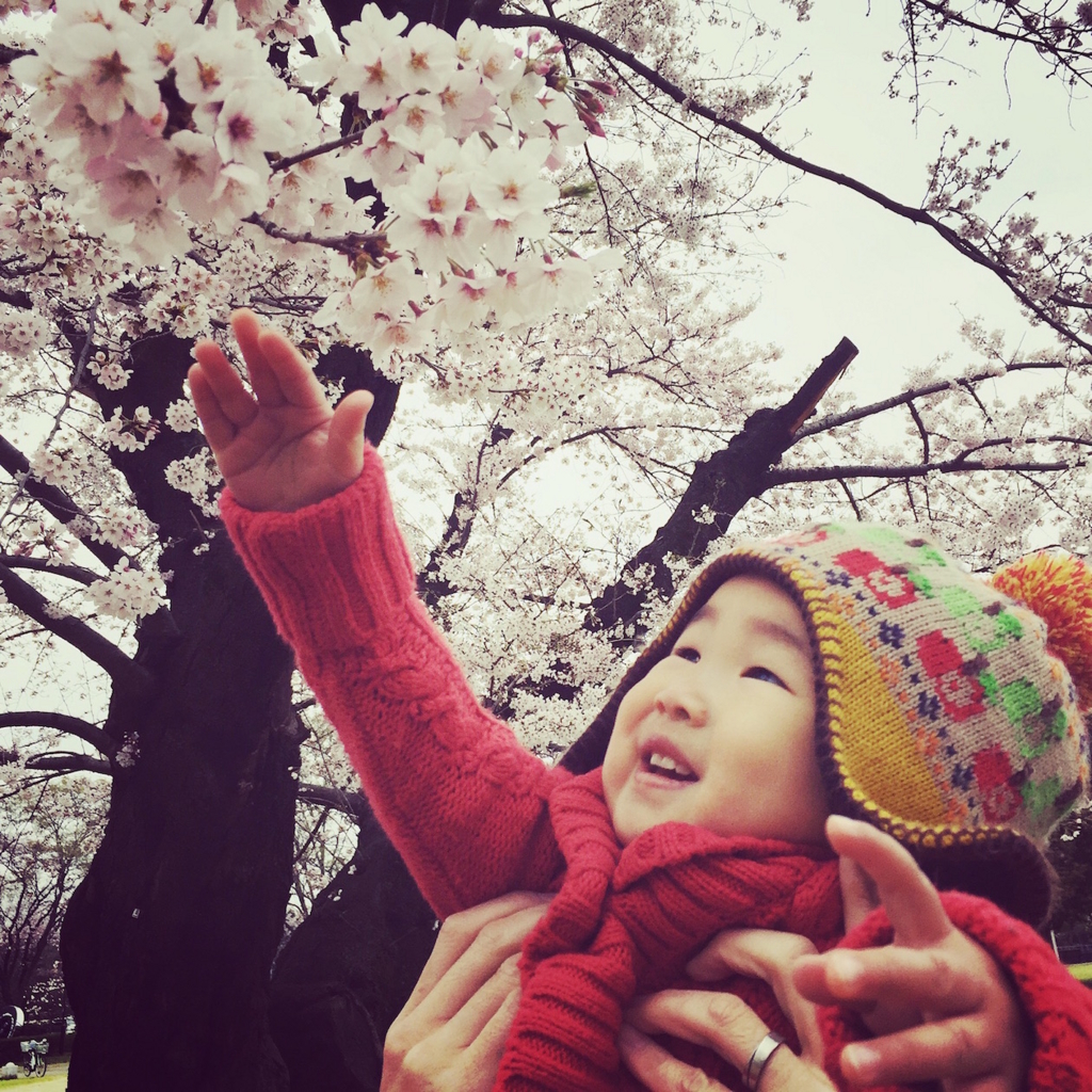 f:id:tadaima_miki:20160403234013j:plain
