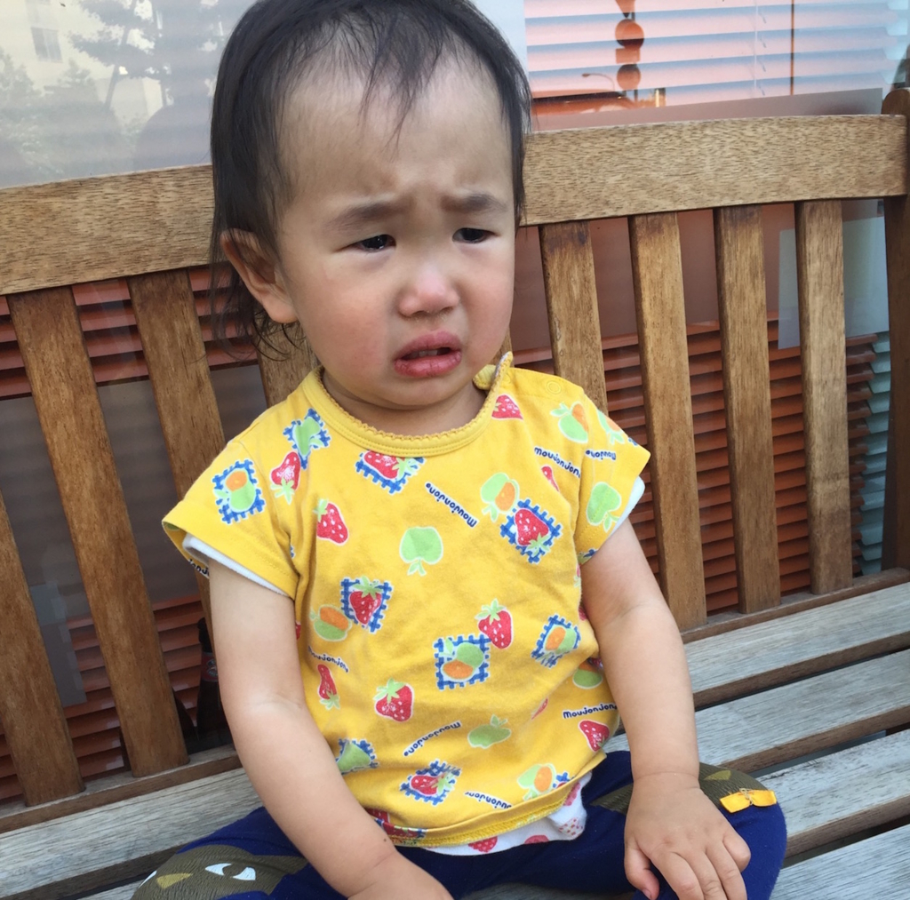 1歳半〜の数ヶ月が楽しみ過ぎる
