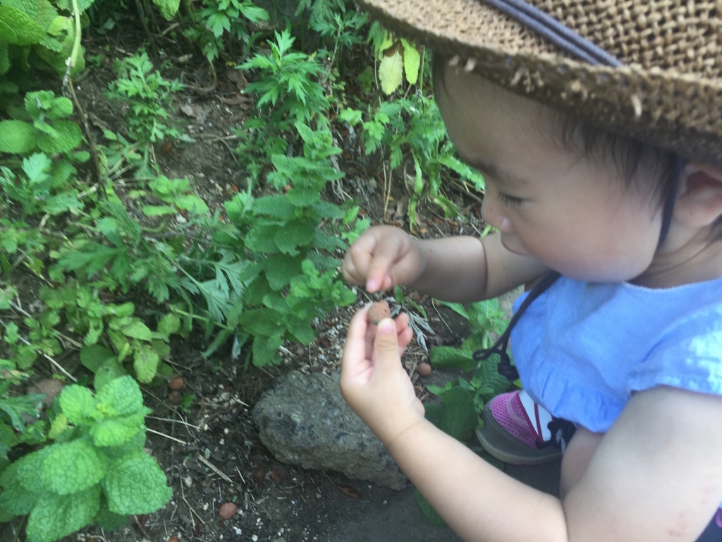 タバコのポイ捨てが子どもの冒険を妨げる