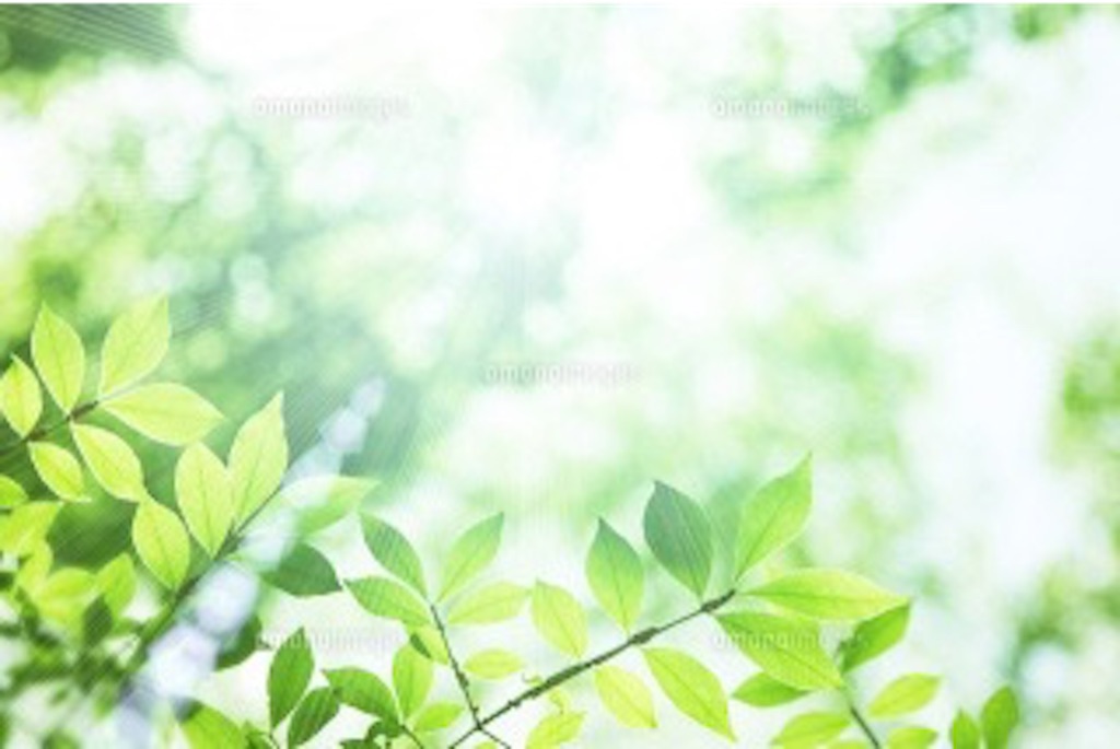 f:id:tadanorimatsuo:20150914131026j:image f:id:tadanorimatsuo:20150914131026j:image