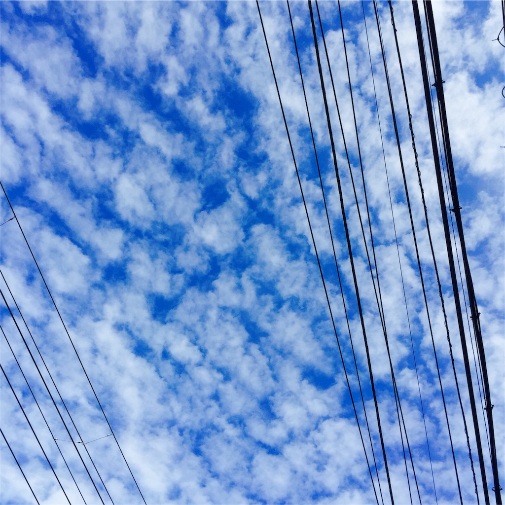 f:id:tadanorimatsuo:20151219103807j:image f:id:tadanorimatsuo:20151219103807j:image