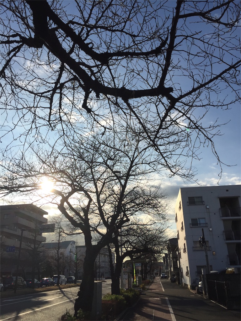 f:id:tadanorimatsuo:20151226231002j:image f:id:tadanorimatsuo:20151226231002j:image