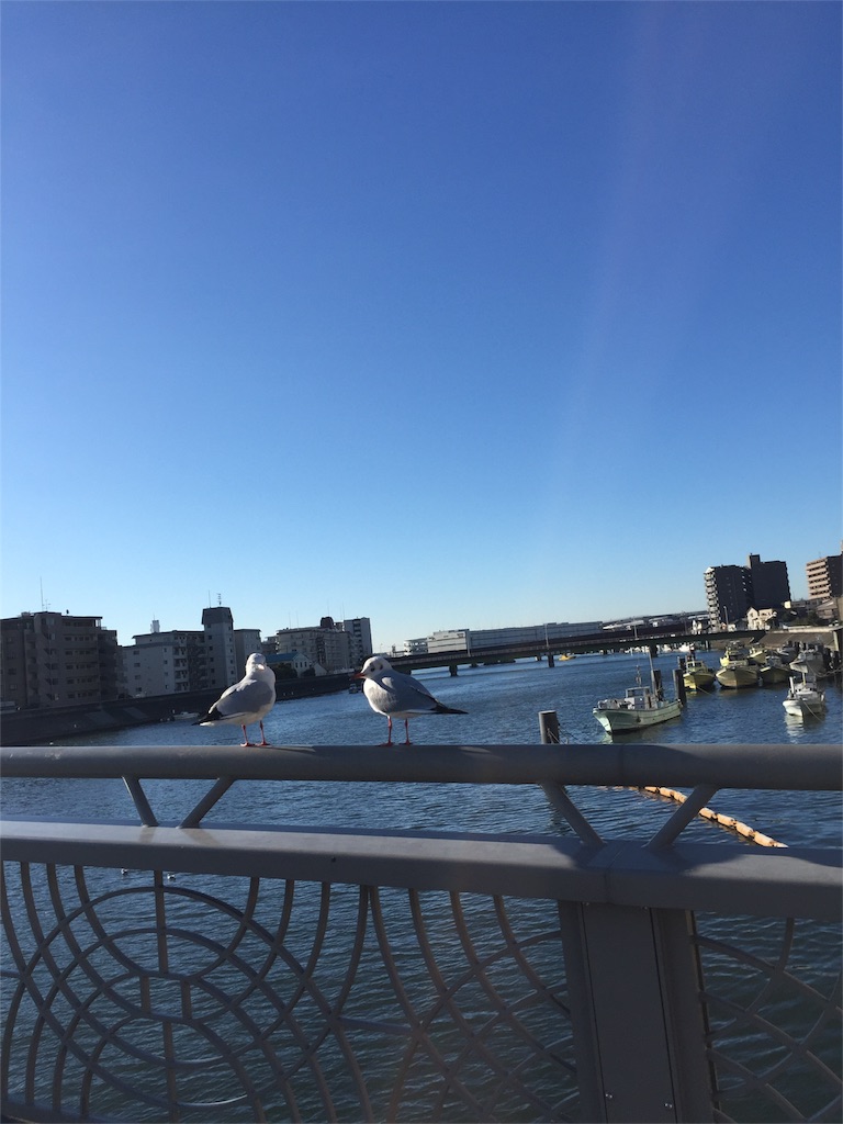 f:id:tadanorimatsuo:20160121155941j:image f:id:tadanorimatsuo:20160121155941j:image