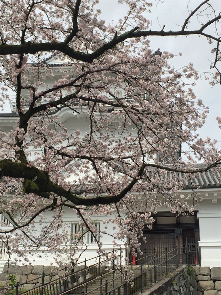 f:id:tadanorimatsuo:20160404073602j:image f:id:tadanorimatsuo:20160404073602j:image
